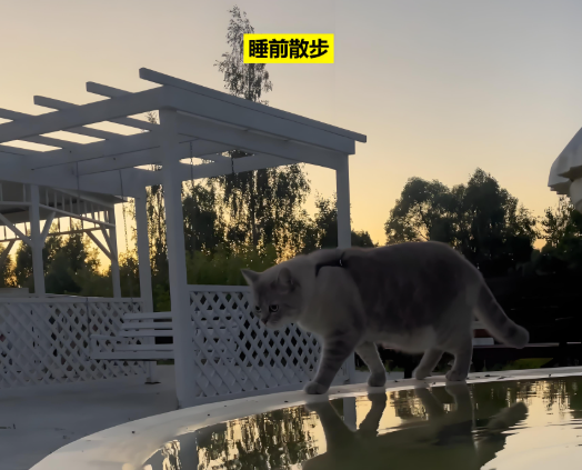 yid, 身体里的, 帮肠胃省了